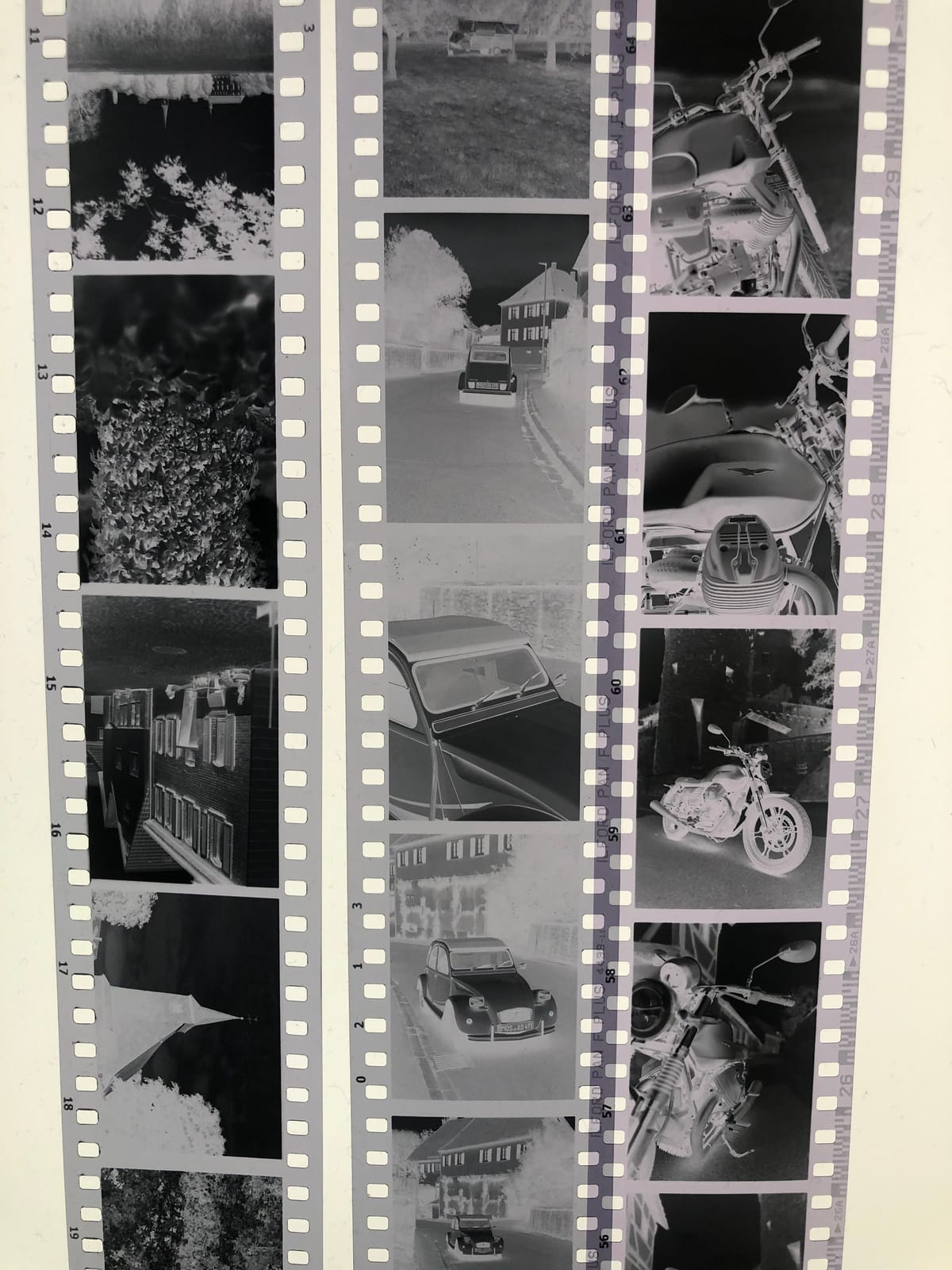 How I scan my Film Negatives