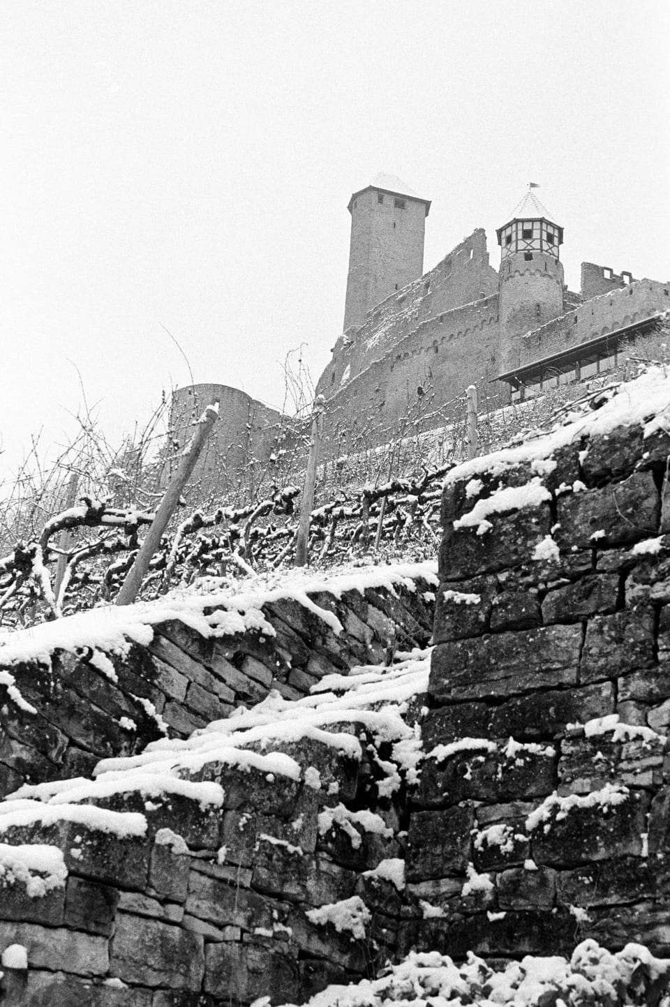 A Whole Roll of ILFORD HP5+ shot on a Snowy Sunday