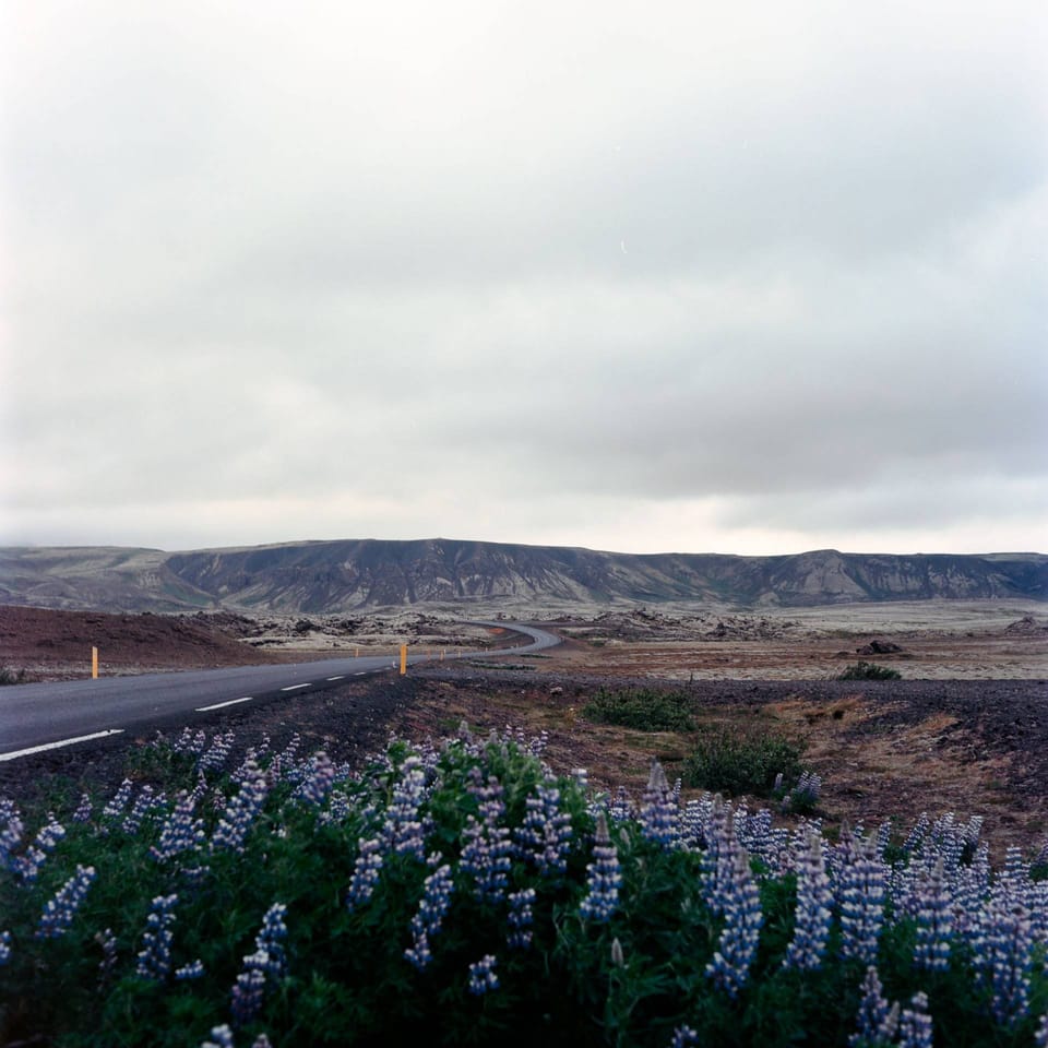 Iceland - Rainy Geldingadalir & Sunny Reykjavík